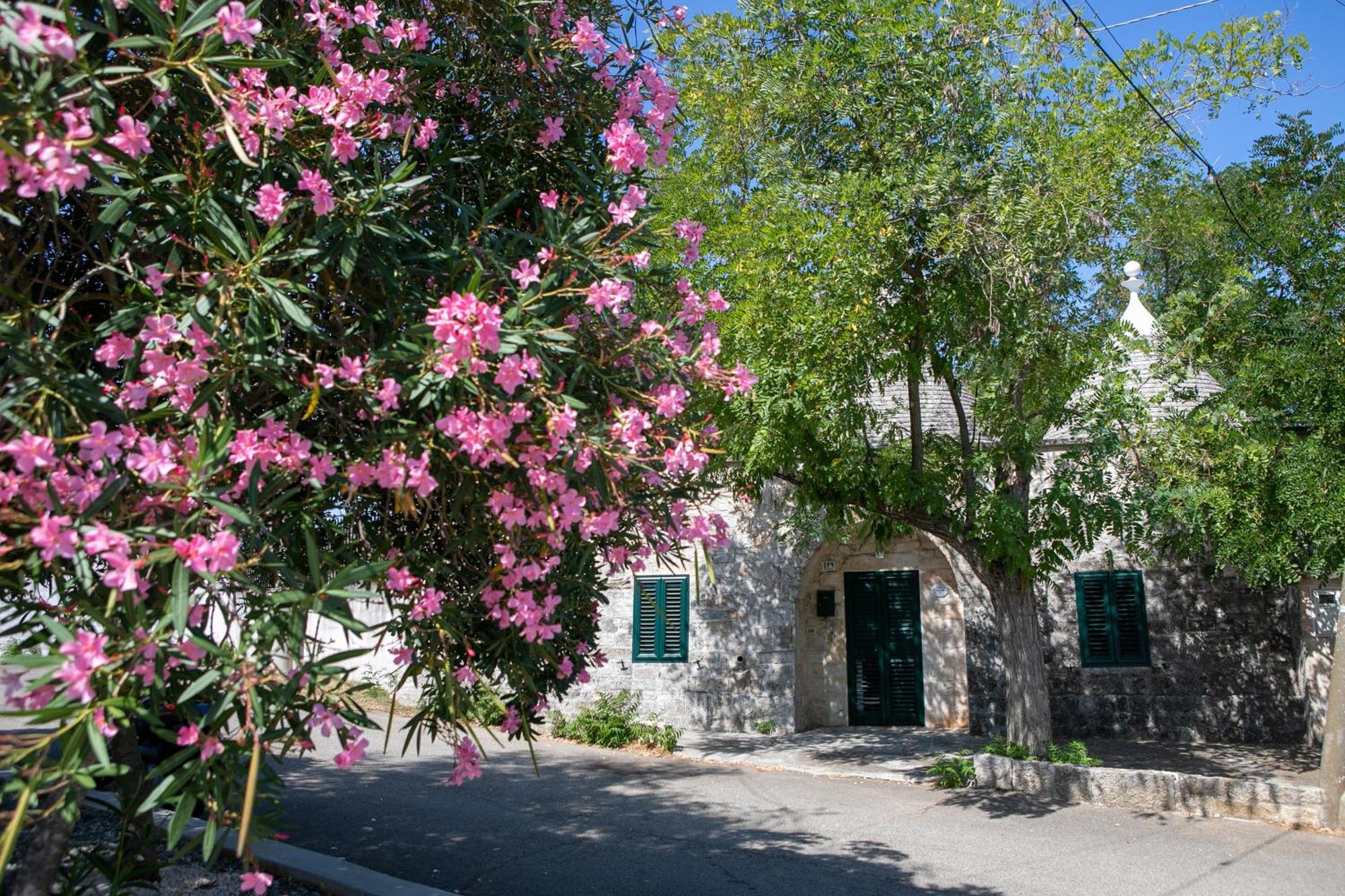 Angolo Di Puglia Локоротондо Екстер'єр фото